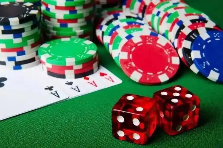 snakebet