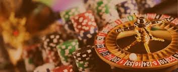 snakebet