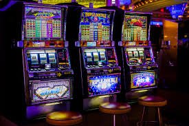 snakebet