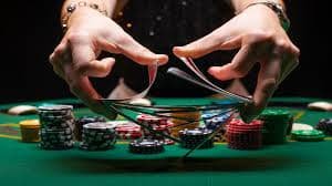 snakebet